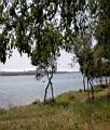 DSCN1142.JPG
