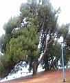 DSCN1157.JPG